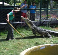 Snakes Downunder Reptile Park and Zoo - Airlie Beach Holiday