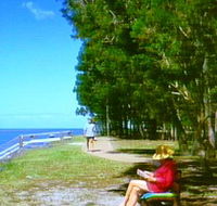 Melaleuca Track - Airlie Beach Holiday