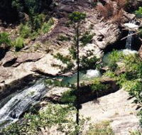 Banksia Track and the Boardwalk - Airlie Beach Holiday