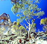 Mount Moffatt Section - Carnarvon National Park - Airlie Beach Holiday