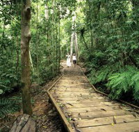 Lake Barrine Circuit Track Crater Lakes National Park