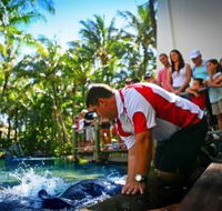The Living Reef on Daydream Island - Airlie Beach Holiday