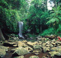 Tamborine National Park - Airlie Beach Holiday