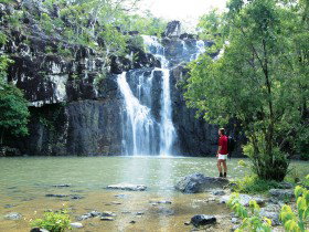Conway National Park - Airlie Beach Holiday 0
