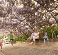 Laurel Bank Park - Airlie Beach Holiday