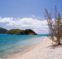Paddle Bay Track and Campsite - Airlie Beach Holiday