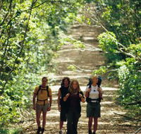 Wet Tropics Great Walk - Airlie Beach Holiday