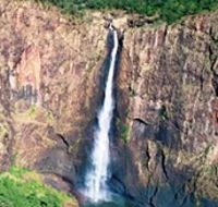 Buujan Quiinbiira Walk Wet Tropics Great Walk - Airlie Beach Holiday
