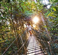 Tree Top Walkway - Airlie Beach Holiday