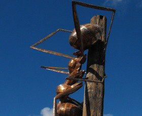 Augathella Meat Ant Park And Sculpture - Airlie Beach Holiday 0