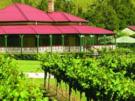 OReillys Canungra Valley Vineyards - Airlie Beach Holiday 0