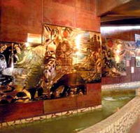 Riversleigh Fossil Centre - Airlie Beach Holiday