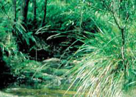 Fern Hill VIC Airlie Beach Holiday