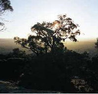 Yarra Flats - Airlie Beach Holiday