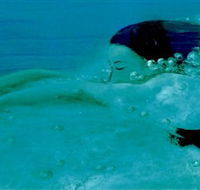 Muse - Airlie Beach Holiday