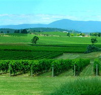 Acacia Ridge Vineyard - Airlie Beach Holiday