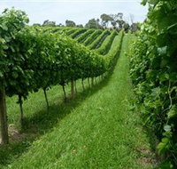 The Cups Estate - Airlie Beach Holiday