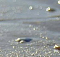 Cape Liptrap Coastal Park - Airlie Beach Holiday