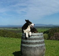 Windy Ridge Vineyard and Winery - Airlie Beach Holiday