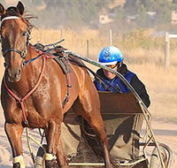 Ballarat  District Trotting Club - Airlie Beach Holiday