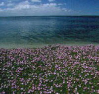 The Lakes National Park - Airlie Beach Holiday