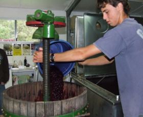 Fern Gully Winery - Airlie Beach Holiday 0