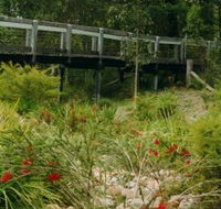 Eurobodalla Botanic Gardens - Airlie Beach Holiday