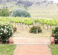 Brindabella Hills Winery - Airlie Beach Holiday