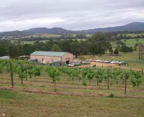 Yarratt Forest NSW Airlie Beach Holiday