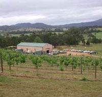 Villa d Esta Vineyard - Airlie Beach Holiday