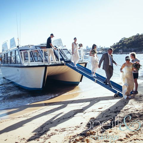 H2O Maxi Taxis - Airlie Beach Holiday 3