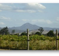 Ironbark Ridge Vineyard - Airlie Beach Holiday