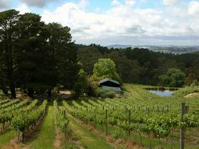 Arranmore Wines - Airlie Beach Holiday 0