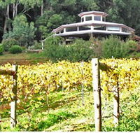 Peveril Vineyard/Beechy Berries - Airlie Beach Holiday