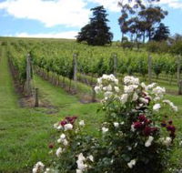 Pembroke Estate Vineyard - Airlie Beach Holiday