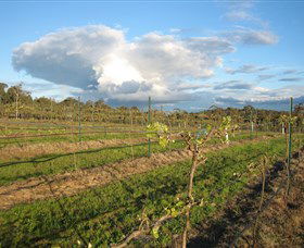 Flyfaire Wines - Airlie Beach Holiday 7