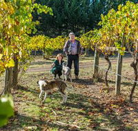 Little River Wines of Taggerty - Airlie Beach Holiday