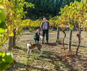 Little River Wines Of Taggerty - Airlie Beach Holiday 0