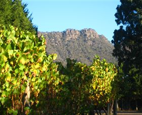Little River Wines Of Taggerty - Airlie Beach Holiday 6