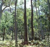 Cathedral Range State Park - Airlie Beach Holiday