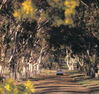 Albert Facey Heritage Trail - Airlie Beach Holiday