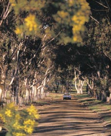 Albert Facey Heritage Trail - Airlie Beach Holiday 0