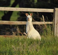 Panorama Garden Estate - Airlie Beach Holiday
