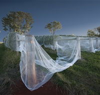 Toppers Mountain Wines - Airlie Beach Holiday