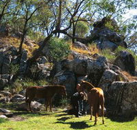 Coomba Falls - Airlie Beach Holiday