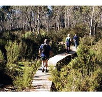 Hume and Hovell Walking Track - Henry Angel Trackhead - Airlie Beach Holiday