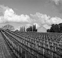 Willow Creek Vineyard - Airlie Beach Holiday
