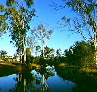 Dingo Creek Park - Airlie Beach Holiday