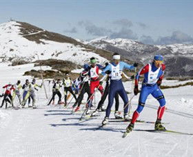 Falls Creek All Season Alpine Resort - Airlie Beach Holiday 0