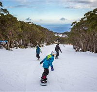 Mt Baw Baw Alpine Resort - Airlie Beach Holiday